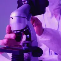 Microscopio